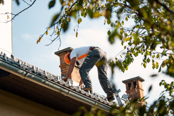 Best Roof Ventilation Installation  in Dunlap, IN